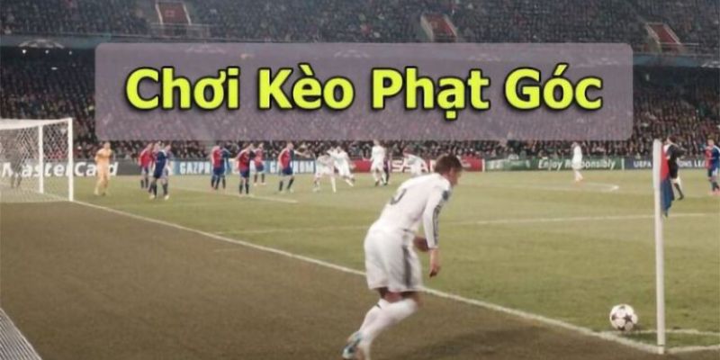 Kèo phạt góc là gì? Một loại cược phụ thú vị trong kèo bóng